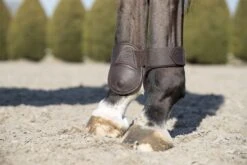 LeMieux Capella Fetlock Boots -Lemieux 84a1d264 5e25 4ce9 8404 c08a6320351c d649995d 6356 4d06 bab3 5311c47fcddc