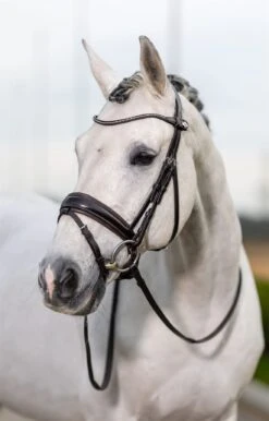 LeMieux Classic Dressage Bridle -Lemieux 84b96cfd a173 494d 9e46 b182bb3a98aa fcec55e8 f718 4a41 9a4d 72f1c9adb4ce
