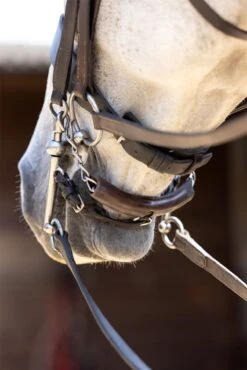 LeMieux Curb Chain Guard -Lemieux 850e13b6 6e1c 4939 aac8 ed6b5059cb29 76504de8 3177 475f 8fec d546c17a32cb