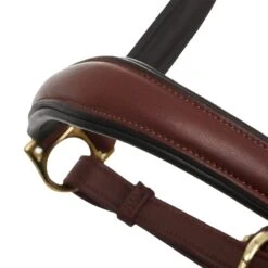 LeMieux Anatomic Headcollar 20 LeMieux Anatomic Headcollar -Lemieux 855f0776 2944 4b59 ba5c 0915c212db7e 0b5501e3 e511 4bb0 bbeb 95d682270f1f