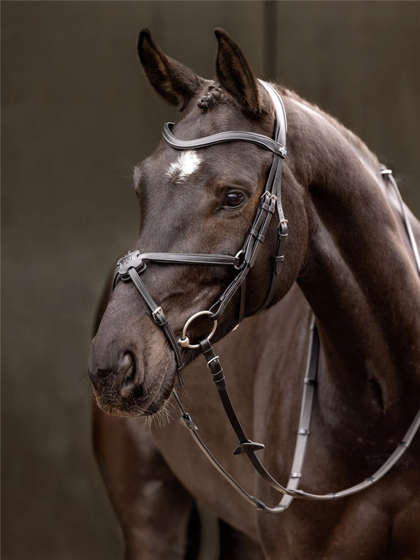 LeMieux Arika Grackle Bridle 3 LeMieux Arika Grackle Bridle