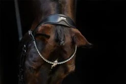 LeMieux Classic Dressage Bridle -Lemieux 8749da93 6f01 4941 8ccd e36e4a3dcfad 60bf66dd 92c6 4413 aaac 1f98932c0417