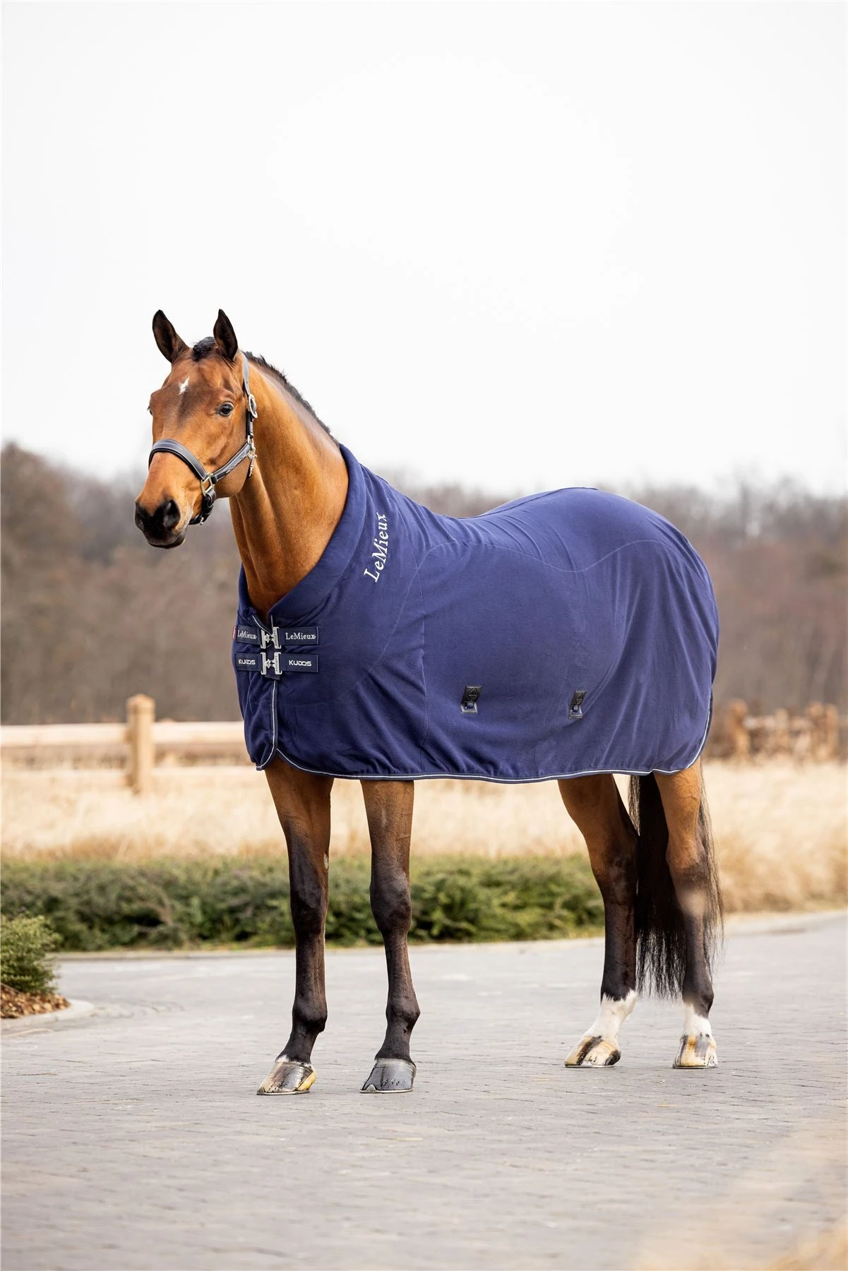 LeMieux Kudos Fleece Cooler Rug 9 LeMieux Kudos Fleece Cooler Rug - Image 7