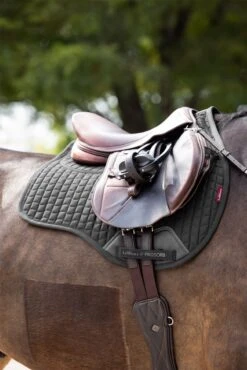 LeMieux ProSorb Plain 2 Pocket GP Square -Lemieux 8cd2f444 7941 469a 96cf 58ec2ebdc12a bcc42134 5f21 4304 bf25 f38158f18a80