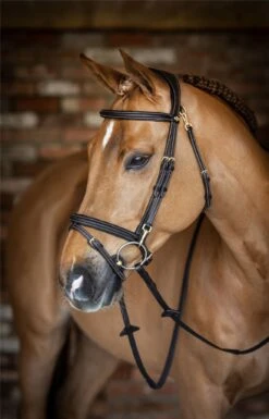 LeMieux Work Bridle -Lemieux 8d4f6129 4d07 4222 9a61 cfd17cca27c8 715db0fc c07c 4c03 a5a5 daf78f84c966