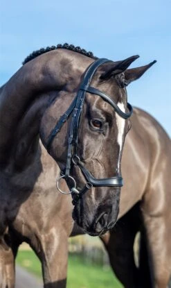 LeMieux Arika Drop Bridle -Lemieux 8eb406a7 7f75 4573 9f8f bc64a2e126dc 3f426fcd 26be 4873 8ef6 3da06f53a73e