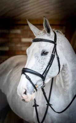 LeMieux Competition Flash Bridle -Lemieux 8f54721a dc59 4a0f 9953 a7f1d7428475