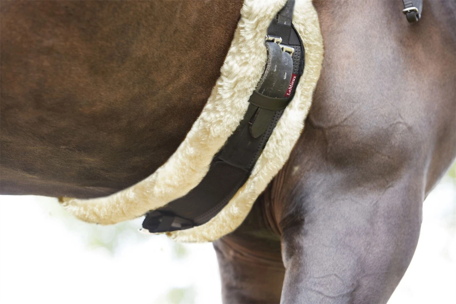 LeMieux Integrated Dressage Girth 14 LeMieux Integrated Dressage Girth - Image 12
