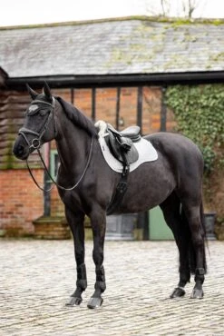 LeMieux Merino+ Half Lined GP Square -Lemieux 97d3aa70 8331 4a24 9d5f e3feab2d69ab ed6c5565 d83d 45c4 b26e e3ff0999e65d