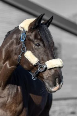 LeMieux Simuwool Headcollar Set -Lemieux 97edb55e 7e22 4480 9236 5afdd5465199 2e3e9307 320f 45d3 a14c 40d5124a2767