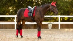 LeMieux Classic Polo Bandages -Lemieux 988d5752 f390 4331 a40b ee28580cb9cb