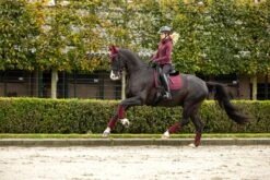 LeMieux Crystal Suede Dressage Pad -Lemieux 9a43fce0 481d 47d0 b92b 5ce760a501d9 0c20c9dc 548f 4658 ba9b a2f500081751