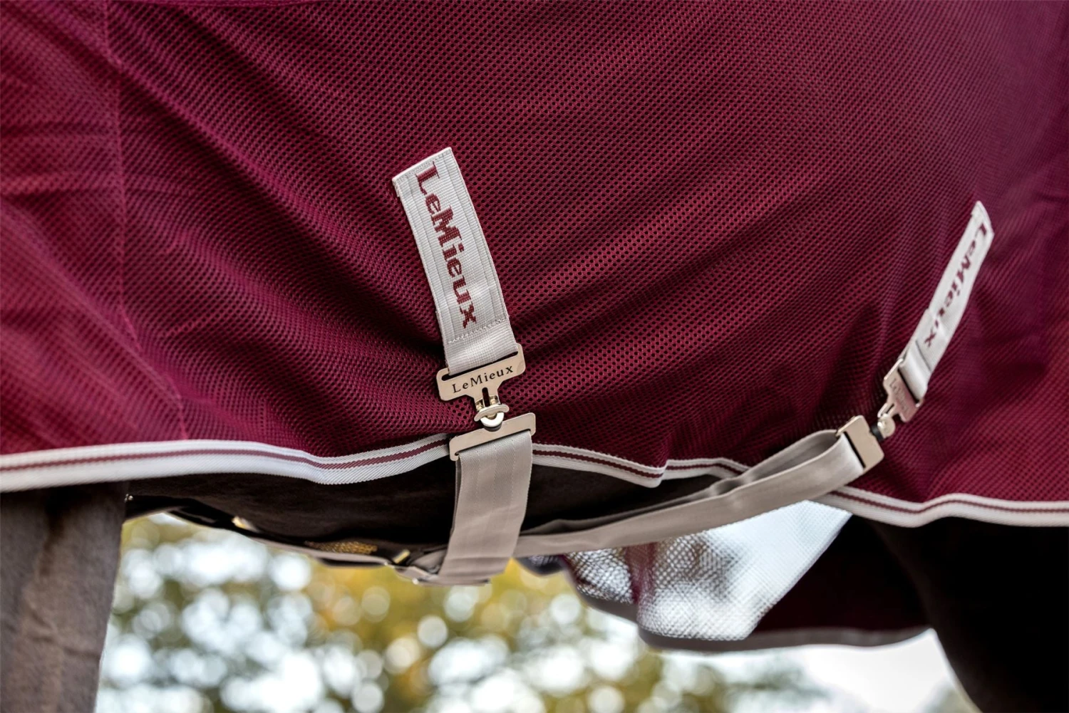 LeMieux Arika Air-Tek Sheet 10 LeMieux Arika Air-Tek Sheet - Image 8