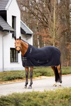 LeMieux Kudos Fleece Cooler Rug 19 LeMieux Kudos Fleece Cooler Rug -Lemieux 9cf9e5f3 e24b 45bf 9cc8 f84e04992017 86973e3d ddb9 4eaa 936d d05acc4cb363