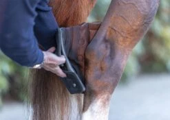 LeMieux Conductive Magno Hock Boots -Lemieux 9ea3937b e444 4dbd 9fdd d88e3c16bbe1 a3f06601 99c5 4f6a aca0 0358985f4835