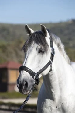 LeMieux Anatomic Headcollar 17 LeMieux Anatomic Headcollar -Lemieux 9ec26af1 81b9 4e3d 984e 23000fb4c1ce 2de9cea7 1f4b 4984 b010 6d1bd558e9ca