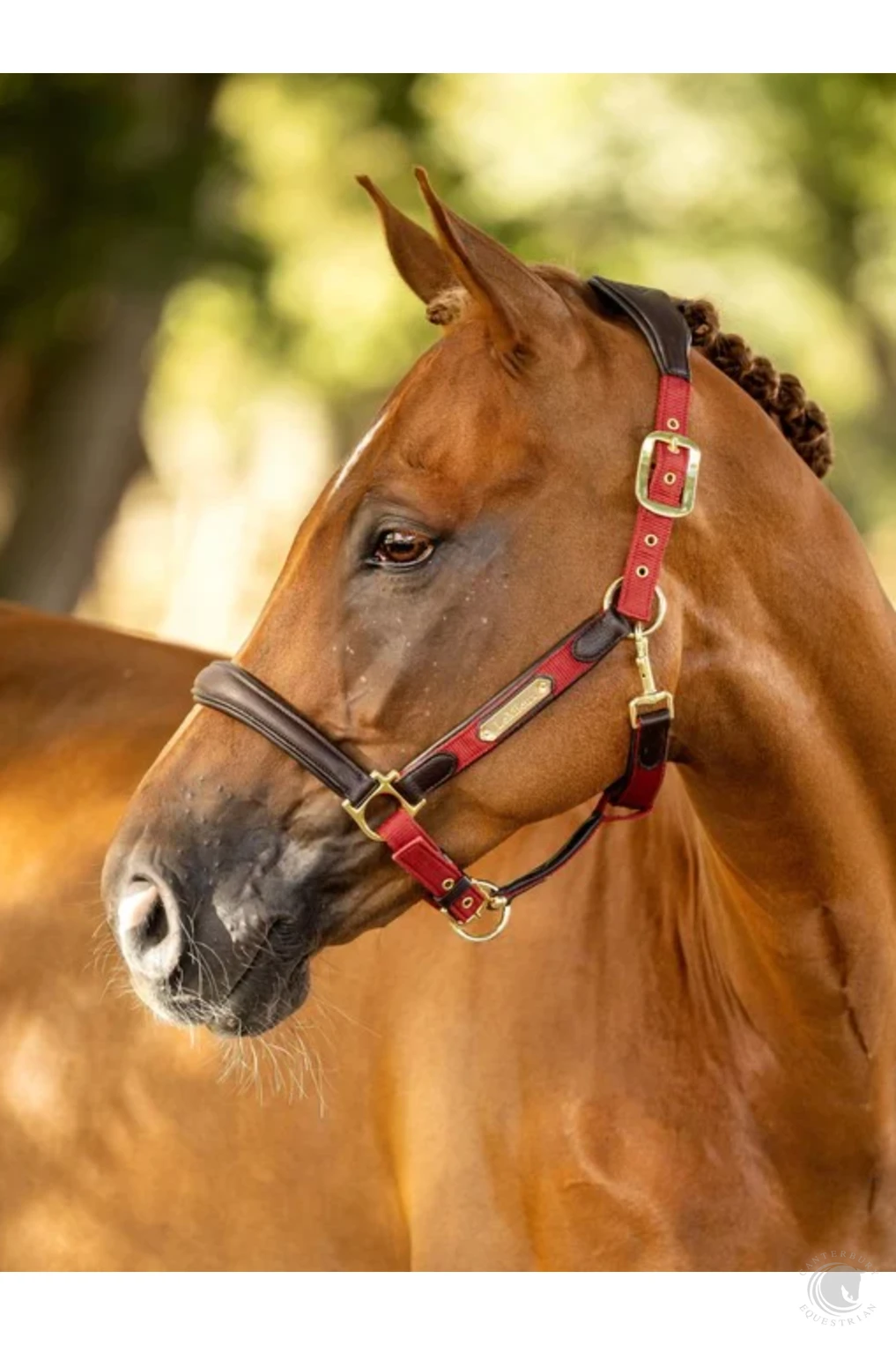 LeMieux Capella Headcollar Sienna 4 LeMieux Capella Headcollar Sienna - Image 2