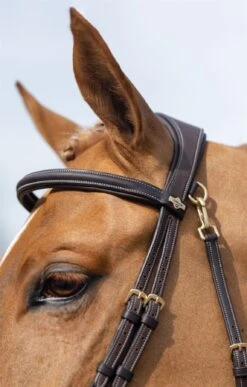 LeMieux Work Bridle -Lemieux a1366ebd c7cf 4f16 a064 7ceb9316939a 0fdade0a db66 4e44 8b9f 62c1c0849f34