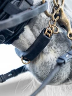 LeMieux Curb Chain Guard -Lemieux a16bf895 a6cb 4334 9b08 77a19f4c381b ededfea4 08c8 4171 ad58 352fd75c5217