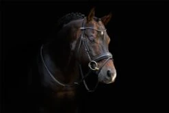 LeMieux Classic Dressage Bridle -Lemieux a2ce21b9 a718 48bb a404 12f59f757bf6 d84a89f0 54b4 4976 843d d55a20a2b838