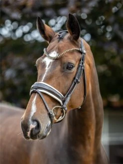 LeMieux Kudos Patent Dressage Bridle 7 LeMieux Kudos Patent Dressage Bridle -Lemieux a5d92b27 5eb3 4430 99be 566ffe5cfbb3 a2931266 03d2 4787 83ec 57b10efc47f2