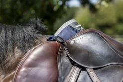 LeMieux D-Ring Extender -Lemieux a721e0b1 9c3e 4286 a8d3 b8fa89c6bd74 cade8da8 12a2 45b3 8150 2b0dbc129559