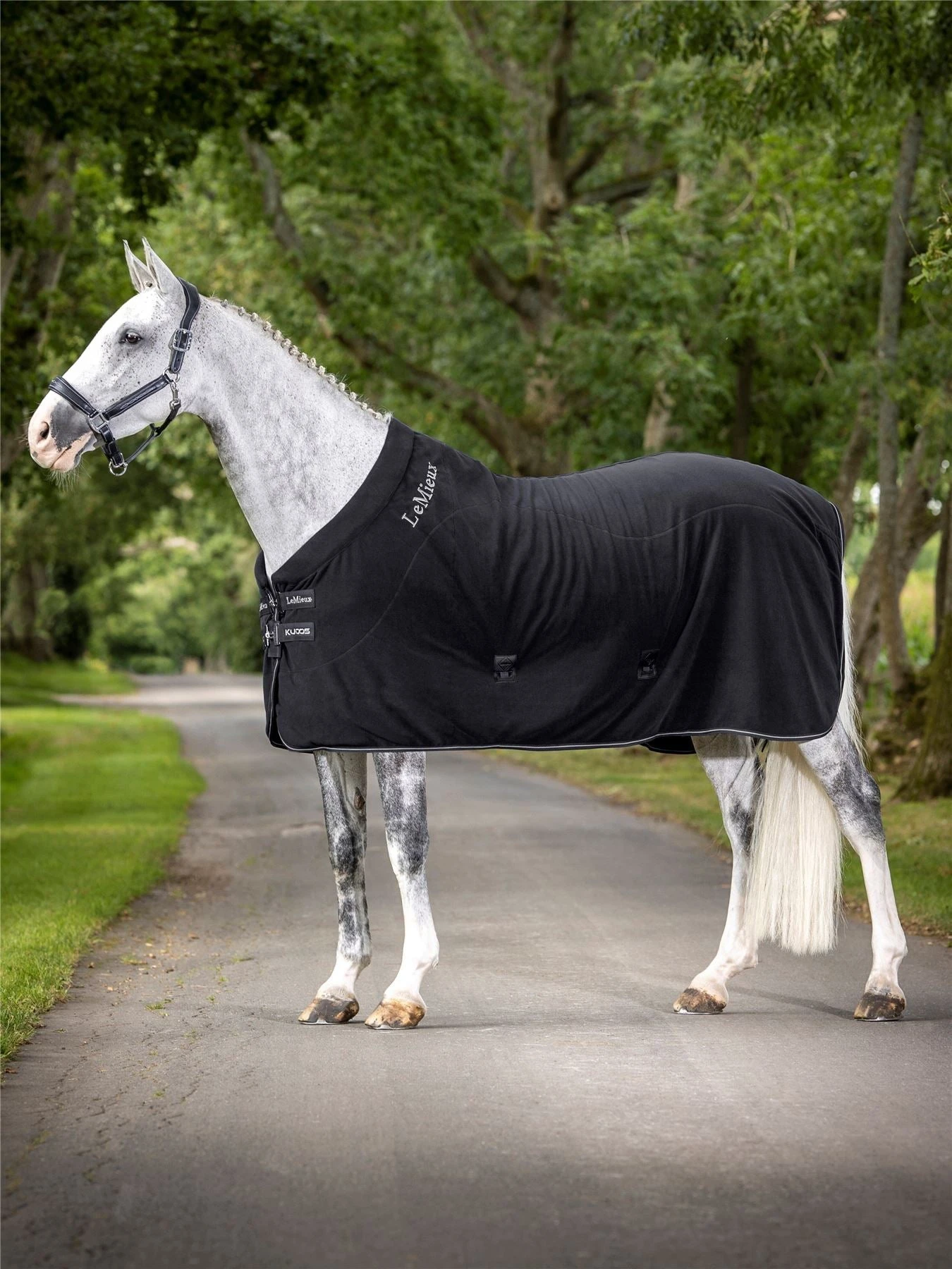 LeMieux Kudos Fleece Cooler Rug 3 LeMieux Kudos Fleece Cooler Rug