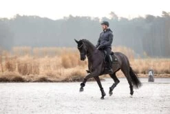 LeMieux Puissance Suede Dressage Pad -Lemieux abaccd26 0f7d 41a0 b358 7541ac9021dd 9c166cc3 1605 42ed 9002 0e4060c33170