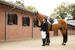 LeMieux Crystal Suede Close Contact Pad 40 LeMieux Crystal Suede Close Contact Pad -Lemieux ad077799 b39d 4523 a972 9375dd7f8f13 40f96d8f 8b42 43ca b1bb a590a185b5dd