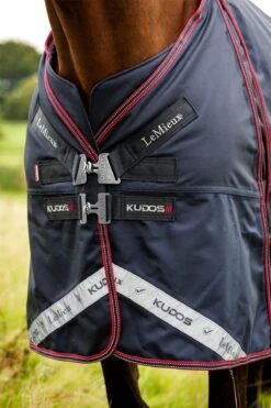 LeMieux Kudos Thermo Layer Turnout Rug 300g 12 LeMieux Kudos Thermo Layer Turnout Rug 300g -Lemieux ad789e22 89c7 4b55 a020 049d32915be3 eeac6637 e778 450b 81b2 3386a664f8ea