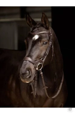 LeMieux Arika Drop Bridle Brown/Silver 13 LeMieux Arika Drop Bridle Brown/Silver -Lemieux arika drop bridle brown