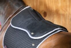 LeMieux Wither Relief Memory Foam Half Pad 21 LeMieux Wither Relief Memory Foam Half Pad -Lemieux b25f6579 89ed 43ae 98d6 2e5281685eb3 e498def3 208a 49a6 9513 c60e52af4dbb