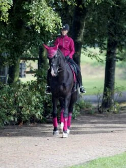 LeMieux Suede Dressage Square -Lemieux b2e4b3d4 a675 4c65 a500 40c61c6e000d