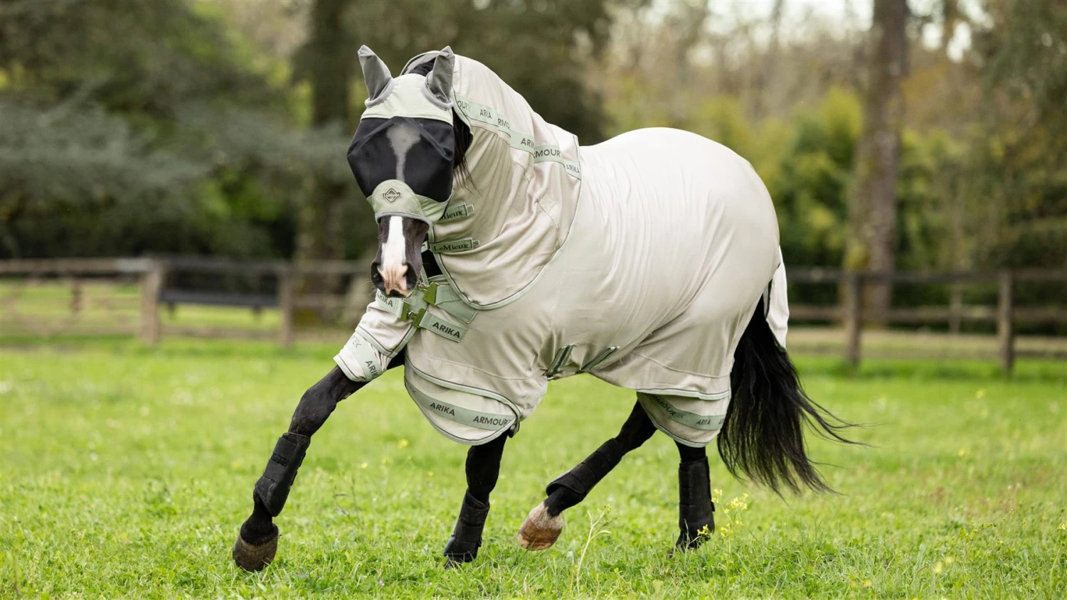 LeMieux Arika Armour-Tek Fly Rug 4 LeMieux Arika Armour-Tek Fly Rug - Image 2