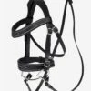 LeMieux Hobby Horse Competition Bridle 2 LeMieux Hobby Horse Competition Bridle -Lemieux b4ea493b db56 4924 b6aa b05c4e63e1e5 6979f685 204d 47b0 a448 e2fd3954a06b