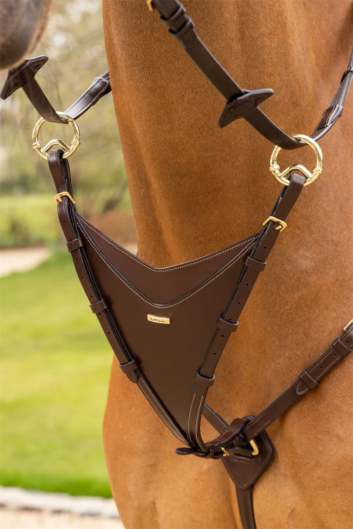 LeMieux Bib Martingale Attachment 16 LeMieux Bib Martingale Attachment - Image 14