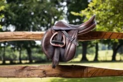 LeMieux Vector Balance Stirrup -Lemieux b6c8d31c f670 4f98 9e61 528e66a602bd