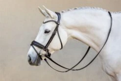 LeMieux Classic Dressage Bridle -Lemieux b6d5da02 3a14 44bc 994b 171dfdb604ed 9e976e2a 0990 4142 bb73 7949216cd036