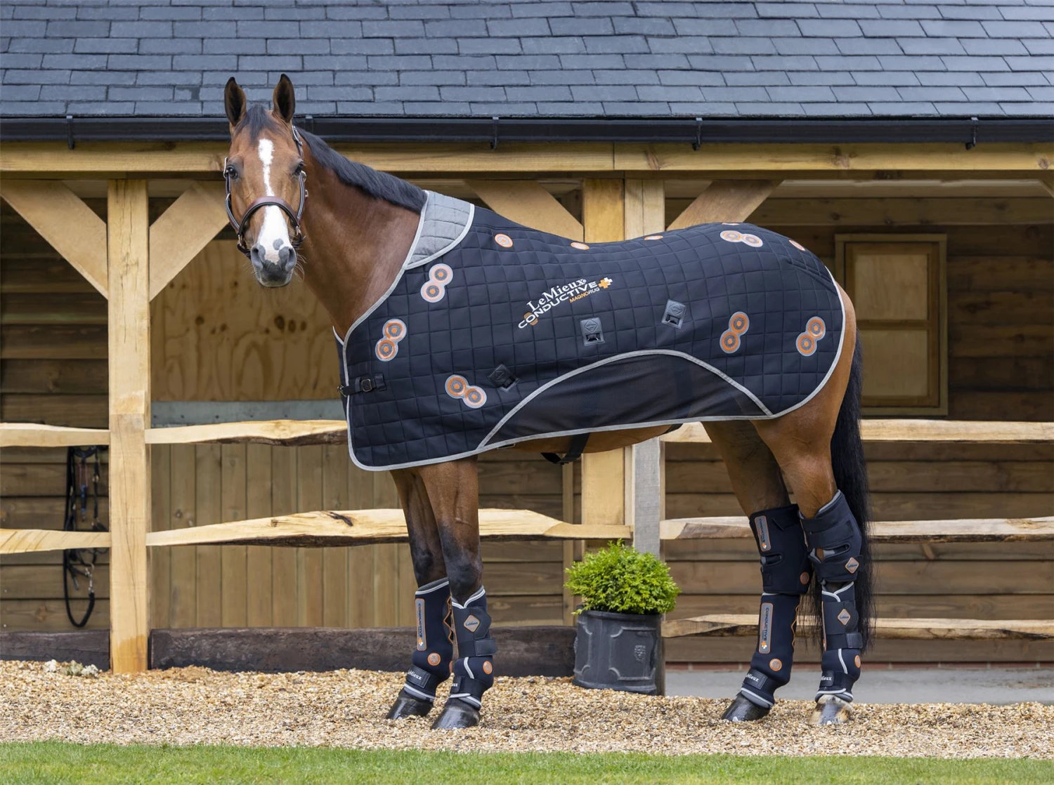 LeMieux Conductive Magno Rug 5 LeMieux Conductive Magno Rug - Image 4