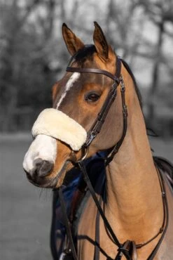 LeMieux Simuwool Noseband Cover -Lemieux b9c63a15 49c2 4bde 810d 5d248883b585