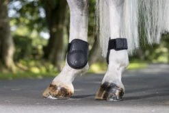 LeMieux Capella Fetlock Boots -Lemieux ba68a89a 98f2 4cb8 8c9c 323eba0e51b4 606cc7c7 8164 4b08 8474 371ab5e4d690