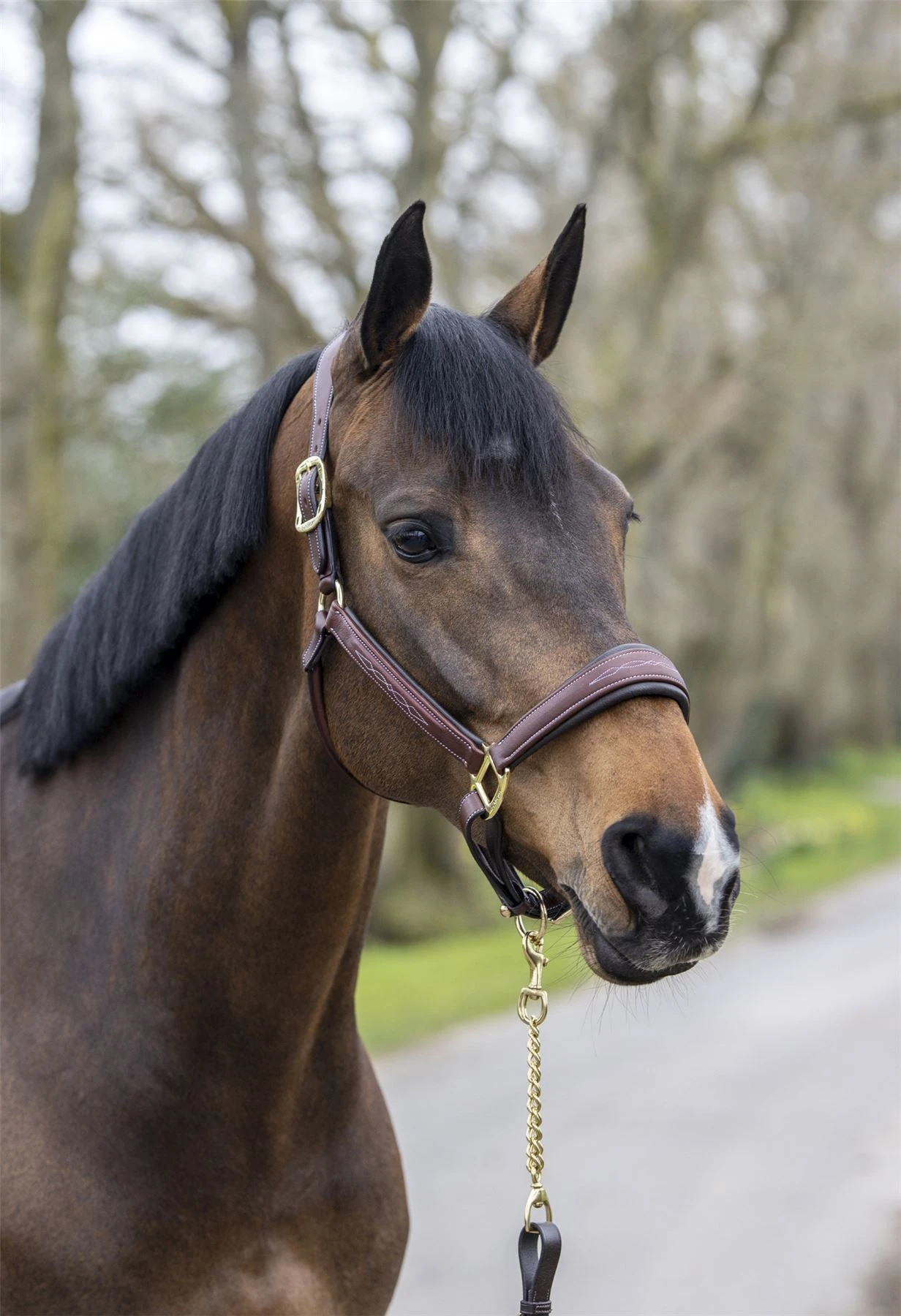 LeMieux Stitched Leather Headcollar 6 LeMieux Stitched Leather Headcollar - Image 4