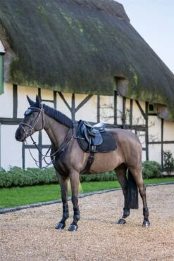 LeMieux Jump Work Pad -Lemieux bb9fac02 e202 4a22 8980 f298eb709d9a