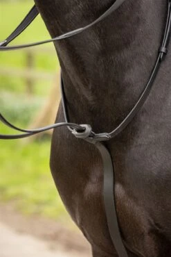 LeMieux Arika Running Martingale 14 LeMieux Arika Running Martingale -Lemieux bd5c4c01 3372 40c3 8b7e 75a08a5a71f4 6e62ddb6 cd58 4f10 9f53 2380ec60a6c5