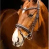 LeMieux Arika Dressage Bridle Brown/Silver 1 LeMieux Arika Dressage Bridle Brown/Silver -Lemieux brown