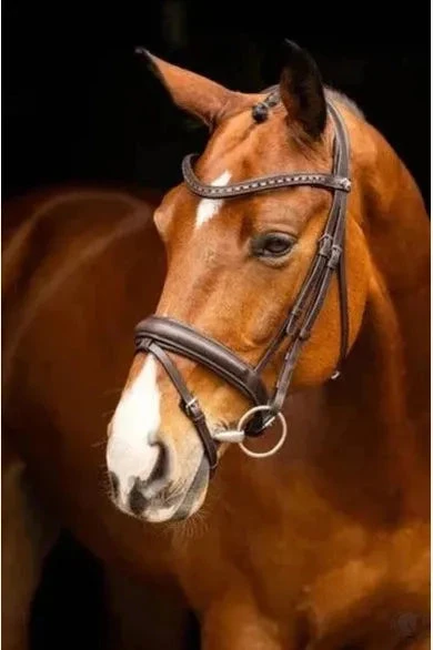 LeMieux Arika Dressage Bridle Brown/Silver 3 LeMieux Arika Dressage Bridle Brown/Silver