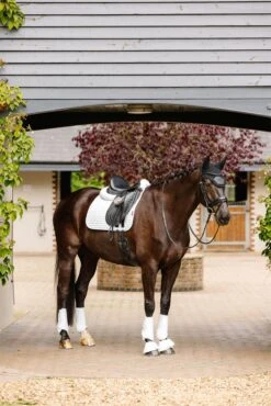 LeMieux Suede Dressage Square -Lemieux c0e652c2 efee 4ca6 a4a4 dce116a23192