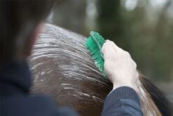 LeMieux Hippo Brush 17 LeMieux Hippo Brush -Lemieux c2ab329c 3227 4e96 b270 b8ca82549e88 d45427fb dc76 4b6f 97d0 eba2a5bc3ed4