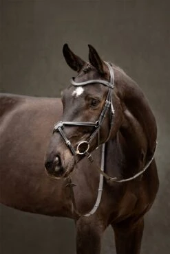 LeMieux Arika Grackle Bridle 25 LeMieux Arika Grackle Bridle -Lemieux c5cf5c0e fe39 4c4b 977f cbf03814df1b