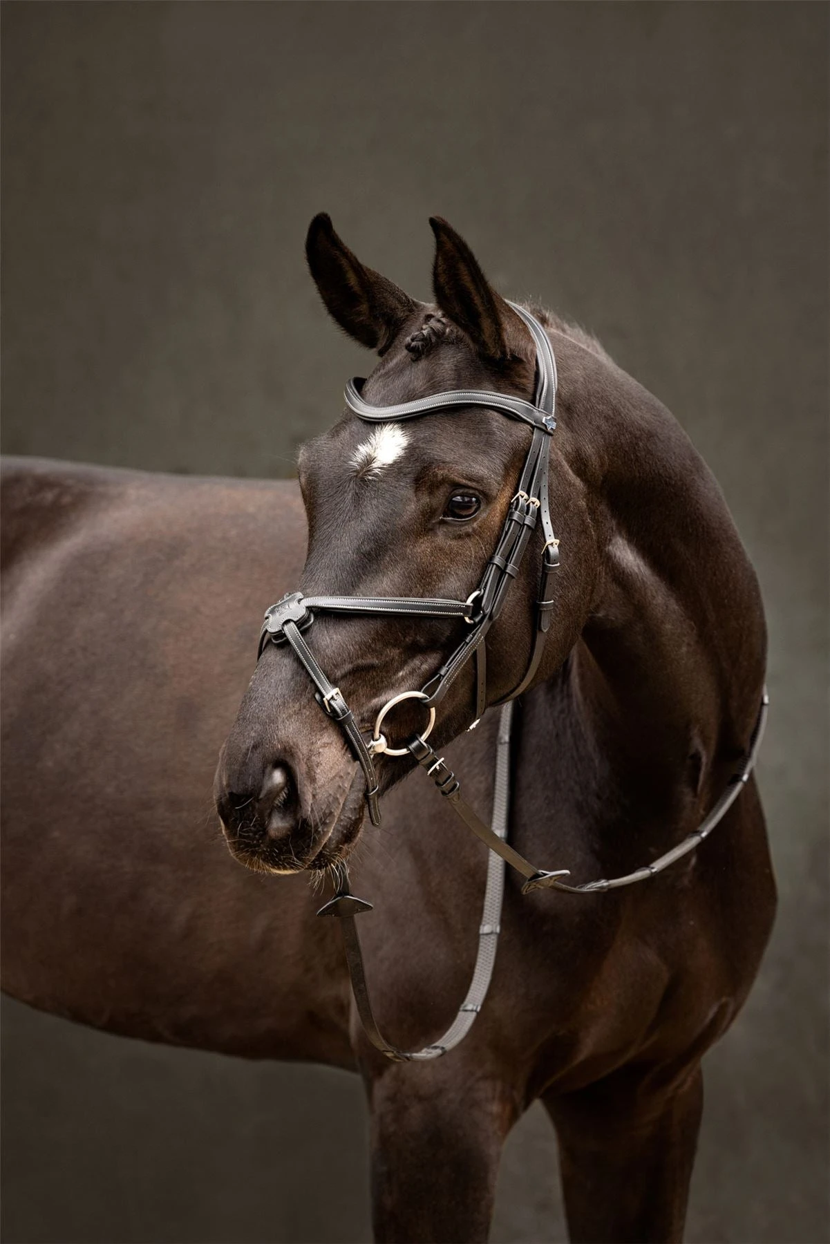 LeMieux Arika Grackle Bridle 14 LeMieux Arika Grackle Bridle - Image 12